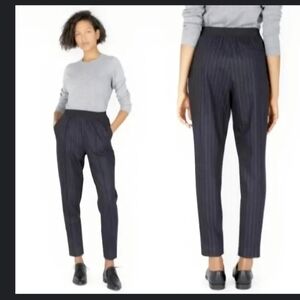 Everlane Wool Blend Pull On Pinstripe Tapered Office Career Pants sz S navy
